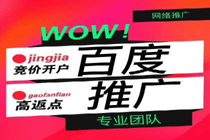 百度推广在汽车行业的营销案例